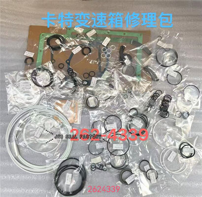 2882552 2976876 2882551 2624339 Hydraulikzylinder-Lader-Getriebedichtungssatz
